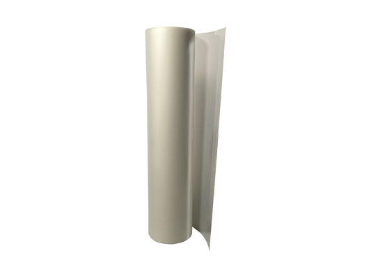 PET Transfer DTF Film Roll 30/60cm Cold And Hot Peel para impressora a jato de tinta